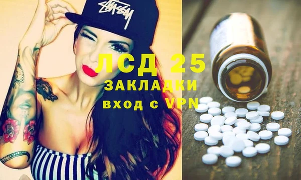 стаф Сосновоборск