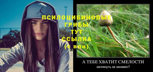 ПСИЛОЦИБИНОВЫЕ ГРИБЫ Абинск