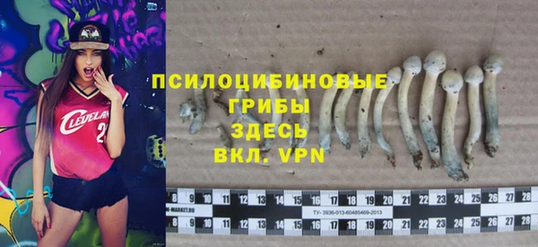 ПСИЛОЦИБИНОВЫЕ ГРИБЫ Абинск