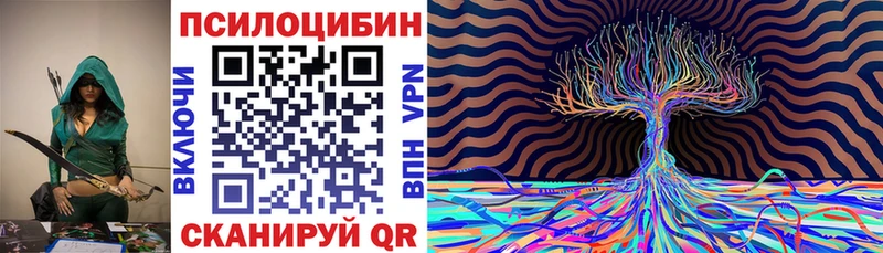 Псилоцибиновые грибы Psilocybine cubensis Приволжский