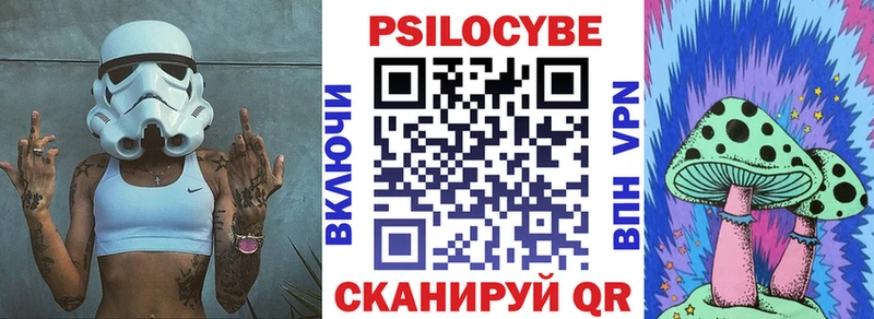 Псилоцибиновые грибы Psilocybe  Приволжский 