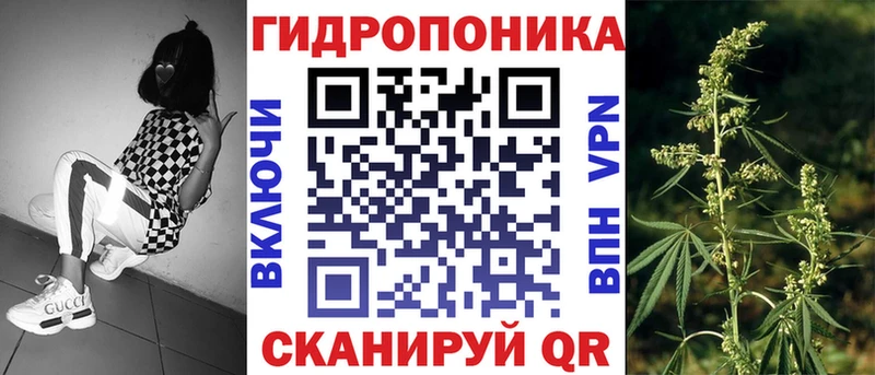 закладка  Приволжский  Каннабис Amnesia 